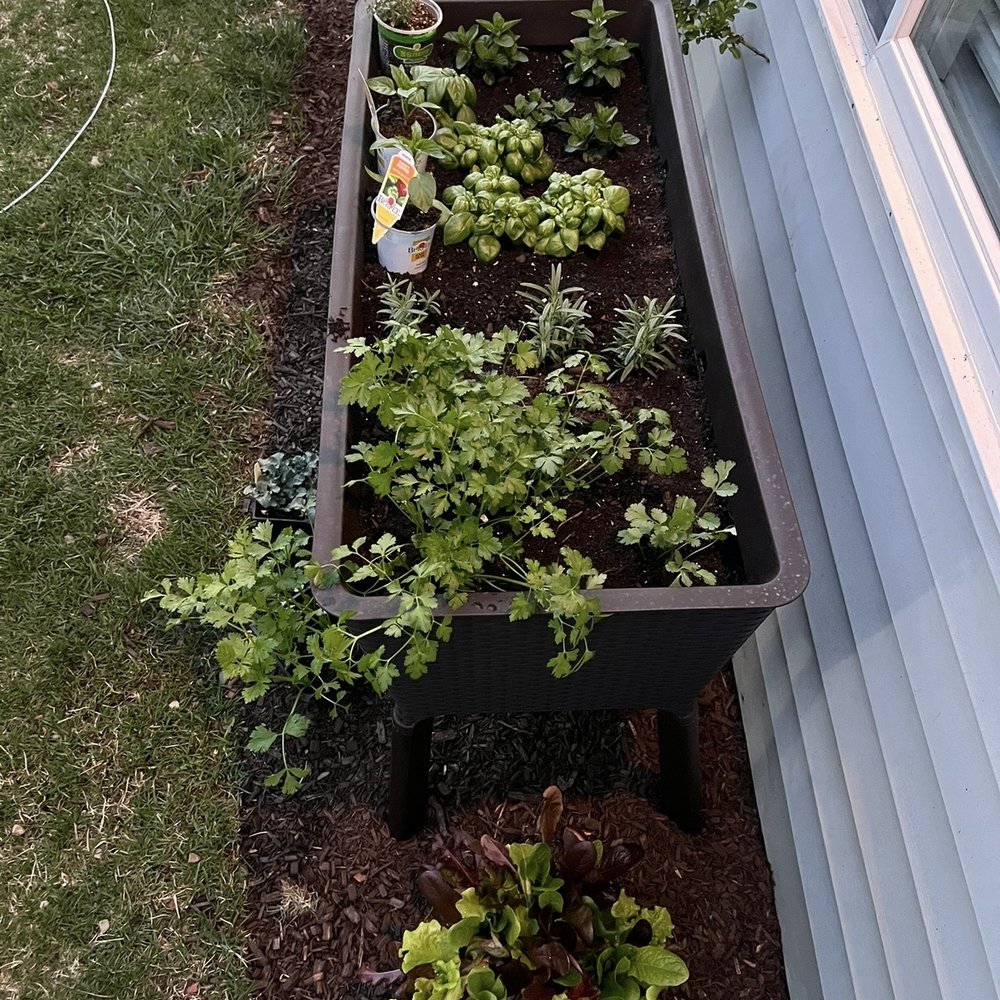 Berkshire Lawn Clean Up - Herb garden - Lawn Services Near Me - Pittsfield, Massachusetts Berkshire Lawn Clean Up - Herb garden - Lawn Services Near Me - Pittsfield, Massachusetts