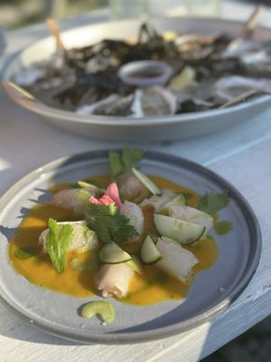 Barnegat Oyster Collective by null