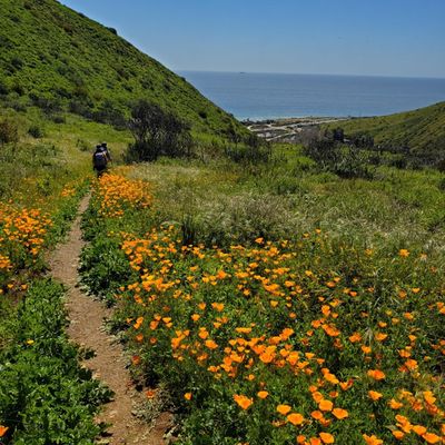 Leo Carrillo State Park by null
