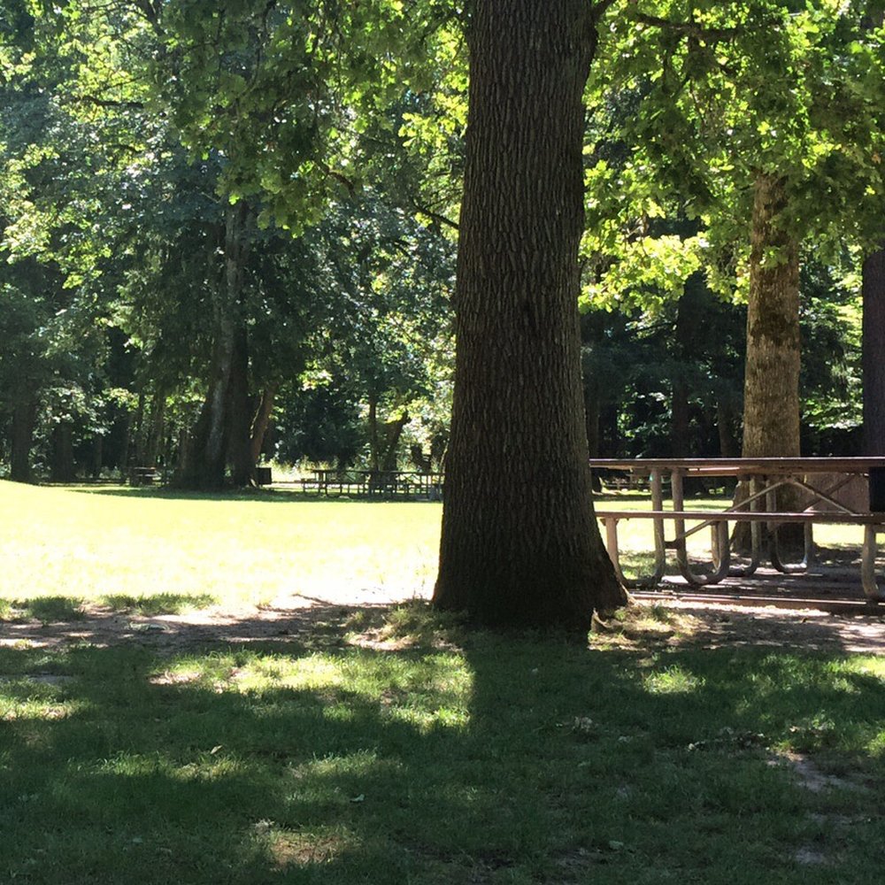 Cook Park - Parks Near Me - Tigard, Oregon Cook Park - Parks Near Me - Tigard, Oregon