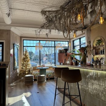 Hatch 44 Cafe - a bar with a christmas tree in the background - Cafes Near Me - Bradley Beach, New Jersey Hatch 44 Cafe - a bar with a christmas tree in the background - Cafes Near Me - Bradley Beach, New Jersey