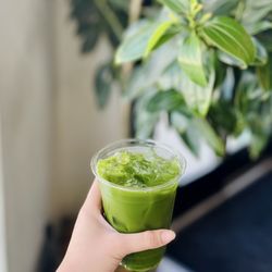 Tanzu matcha