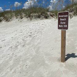 American Beach