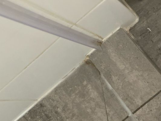 Archer Hotel Old Town Alexandria by null