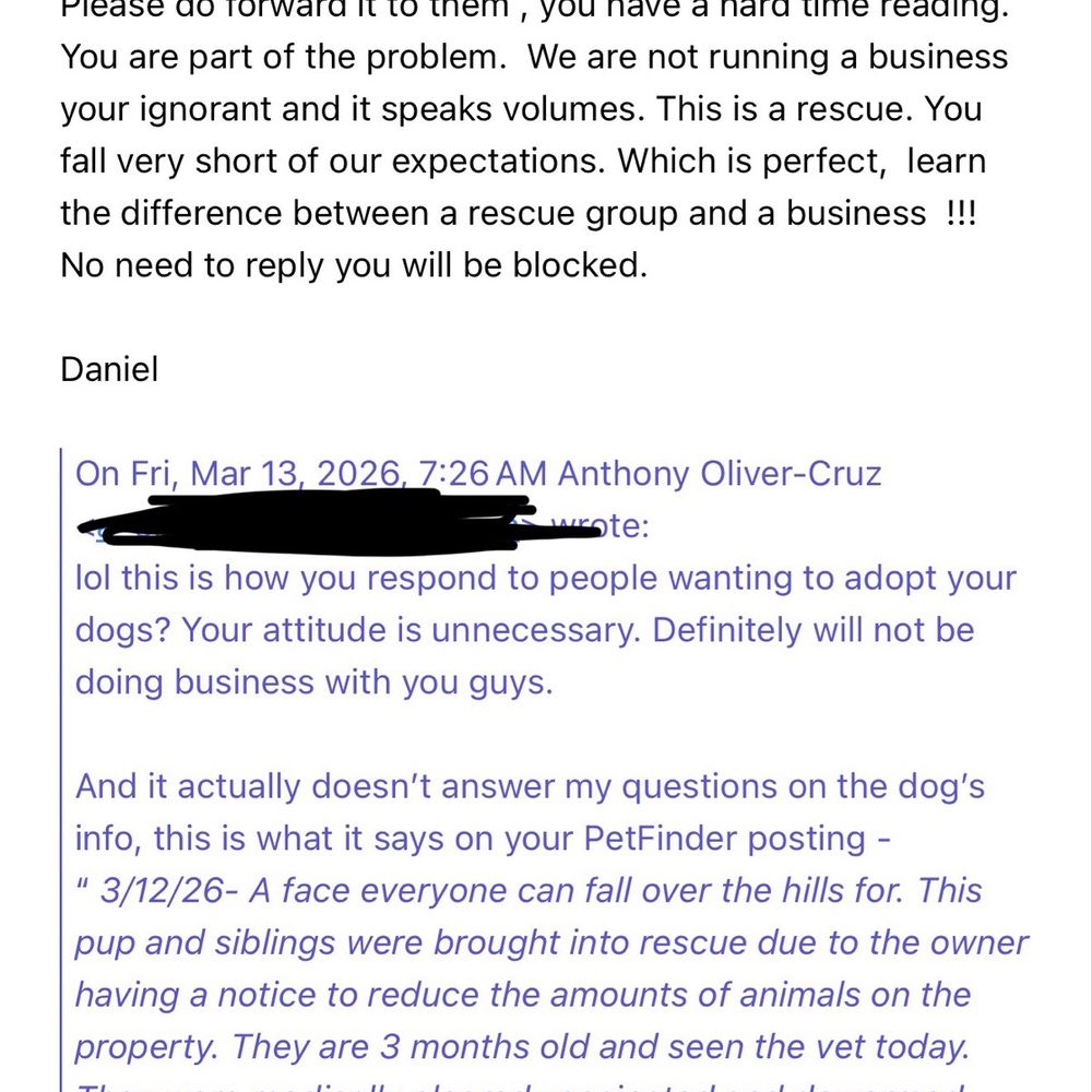 Animal Prayers - The final response - Pet Adoption Near Me Animal Prayers - The final response - Pet Adoption Near Me