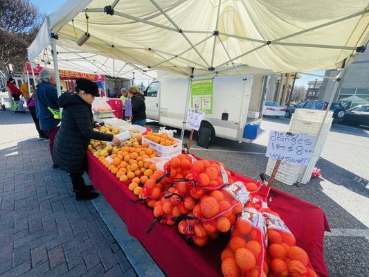 Evergreen Farmers' Market by null