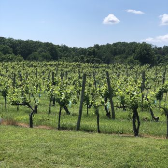 Pearmund Cellars - The views - Wineries Near Me - Broad Run, Virginia