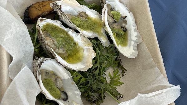 Barnegat Oyster Collective by null