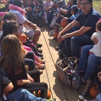 Elves Christmas Tree Farm & Pumpkin Patch - Hay Ride - Christmas Trees Near Me - Denison, Texas