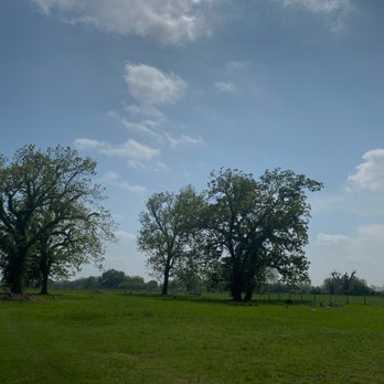Jake Ford Cemetery - Funeral Services & Cemeteries Near Me Jake Ford Cemetery - Funeral Services & Cemeteries Near Me