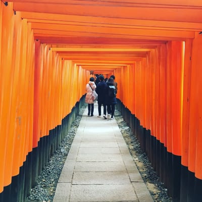 Senbon Torii (Thousand Torii Gates) by null