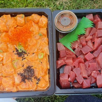 Basa Seafood Express - Spicy salmon and shoyu tuna poke - Seafood Near Me - San Francisco, California Basa Seafood Express - Spicy salmon and shoyu tuna poke - Seafood Near Me - San Francisco, California