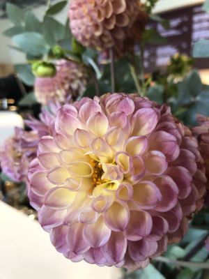 Cafe Rosetta by null