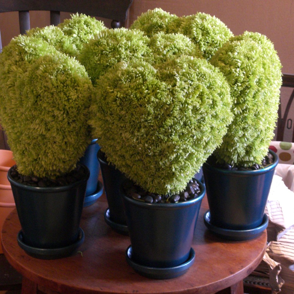 Just Because - Corporate Occasions - Florists Near Me - Colchester, ESS