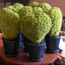 Just Because - Corporate Occasions