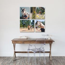 Lindsay Studios - Enjoy your photos everyday! Each session includes a wall gallery design with instructions on how to print, frame, and install your gallery.