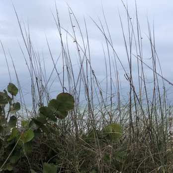 Jaycee Beach Park - Parks Near Me - Vero Beach, Florida
