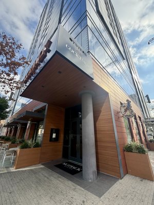 Skipjack Oyster by null