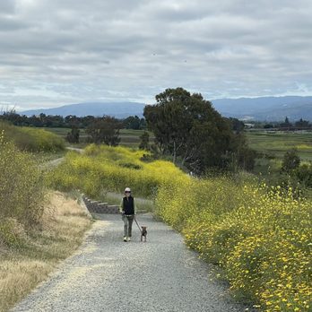 Dog Days - Byxbee Park - NO pulling on the Leash!!! - Pet Training Near Me