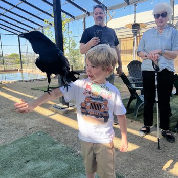 Conservation Ambassadors - Zoo to You - Zoos Near Me - Paso Robles, California Conservation Ambassadors - Zoo to You - Zoos Near Me - Paso Robles, California