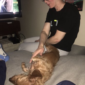 Bark Busters - After 5 years of aggression, our Gusto quietly greeted my sister by jumping on the couch, rolling over and allowing her to rub his belly. - Pet Training Near Me - Henderson, Nevada