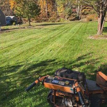 Services By Brothers JE - Tree Services Near Me Services By Brothers JE - Tree Services Near Me