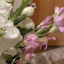 Daisy's House of Flowers