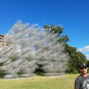 YourBikerGang - This looks way less blurry in person! - Bike tours Near Me - Austin, Texas