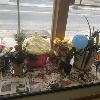 Bee Sweet Cakery - Fun window decor - Bakeries Near Me - Buffalo, New York Bee Sweet Cakery - Fun window decor - Bakeries Near Me - Buffalo, New York
