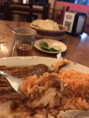 El Grillo Marinero by null