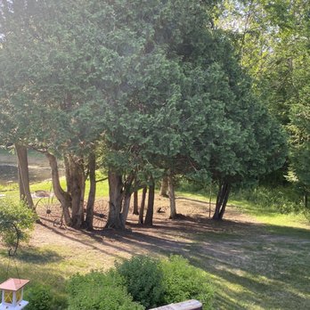 Covenant Tree Care - So much nicer. - Tree Services Near Me - Charlevoix, Michigan