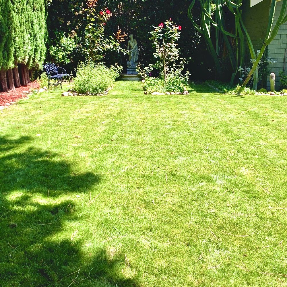 Pinewood Design - Landscaping Near Me - Long Beach, California Pinewood Design - Landscaping Near Me - Long Beach, California