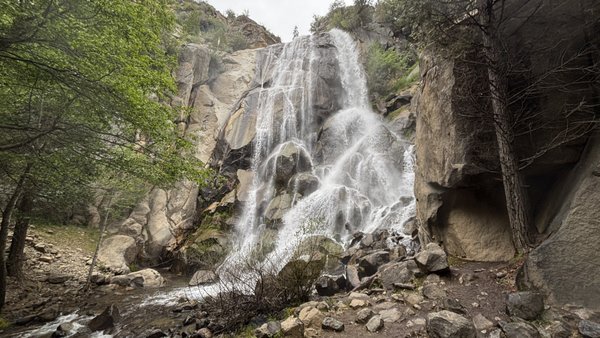 Grizzly Falls Picnic Area by null