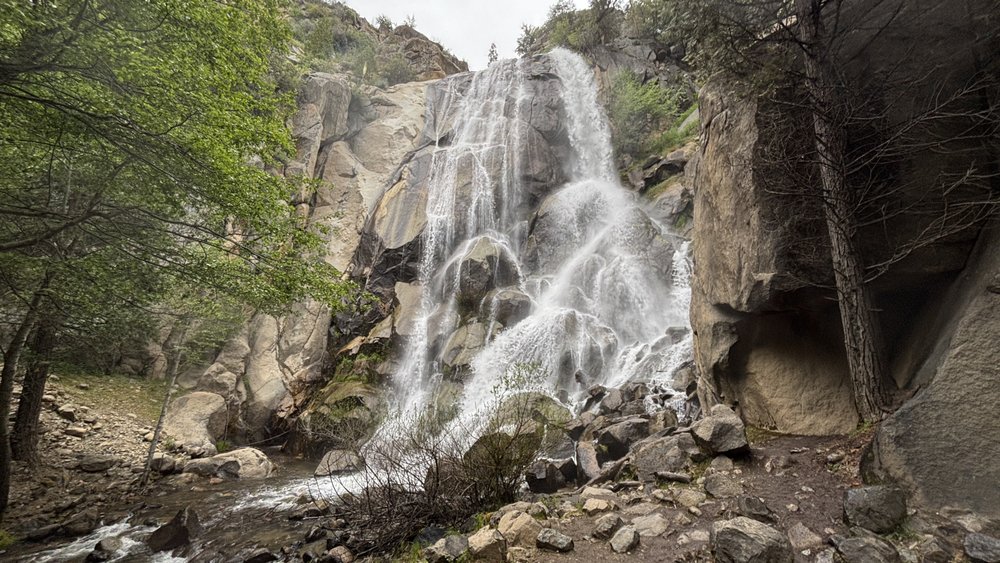 Grizzly Falls Picnic Area Logo