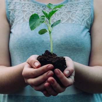 Jasper Moon, CPM LMT - Supporting Families from Preconception through the Postpartum - Doulas Near Me Jasper Moon, CPM LMT - Supporting Families from Preconception through the Postpartum - Doulas Near Me