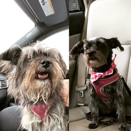 Before and after. Before and after.