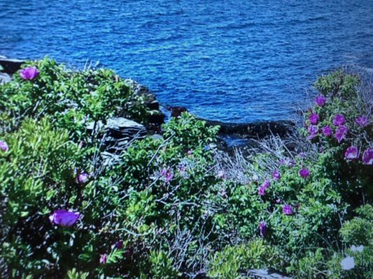 Two Lights State Park by null