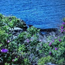 Two Lights State Park