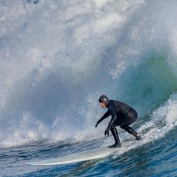 Big Wave Dave's Quesadillas - Steamer Lane Left!!!!!