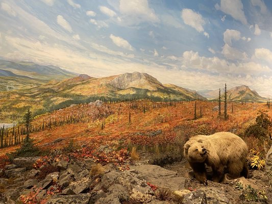 Morris Thompson Cultural & Visitors Center by null