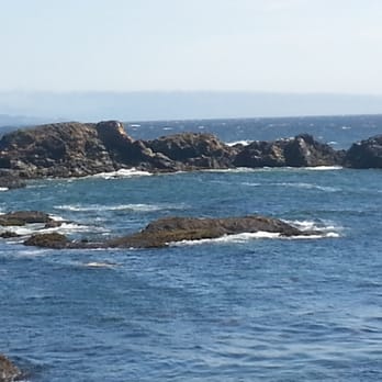 Sea Ranch - Awesome sunny August day. - Real Estate Agents Near Me - Gualala, California