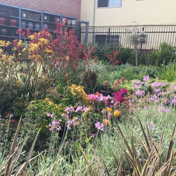 A&A Nursery - Nurseries & Gardening Near Me - Los Angeles, California