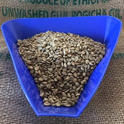 Craze Coffee Roasters