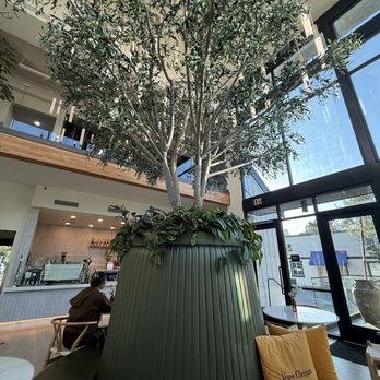Luxe Flower Bar - Coffee & Tea Near Me - Morgan Hill, California Luxe Flower Bar - Coffee & Tea Near Me - Morgan Hill, California