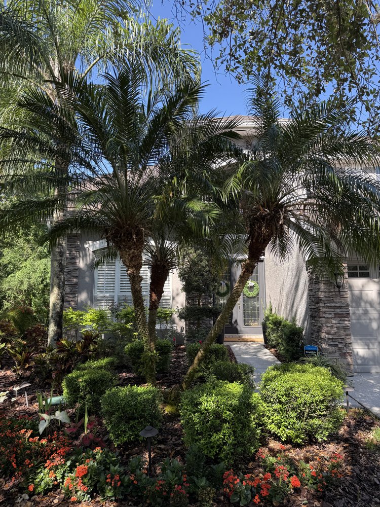 Charles Coogle Tree Service - tree service in Tampa, FL