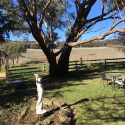 Stockman's Ridge Wines - It's 10 degrees !! ..... yet lovely !!
