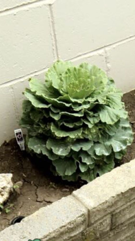 FARRAND FARMS 24 Photos & 17 Reviews 5941 Noland Rd, Kansas City