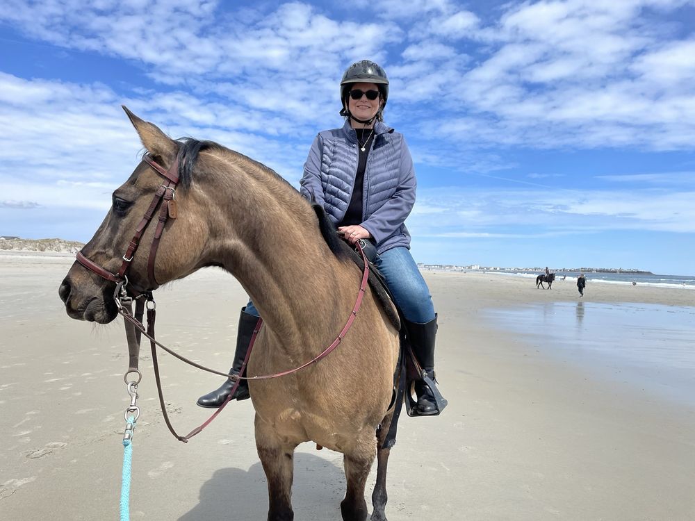 North Road Farm - equestrian in Fremont, NH