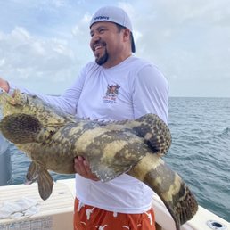 Goliath Grouper Goliath Grouper