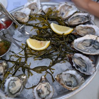 Willi's Seafood & Raw Bar - Seafood Near Me - Healdsburg, California Willi's Seafood & Raw Bar - Seafood Near Me - Healdsburg, California